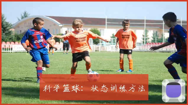 科学篮球：状态训练方法