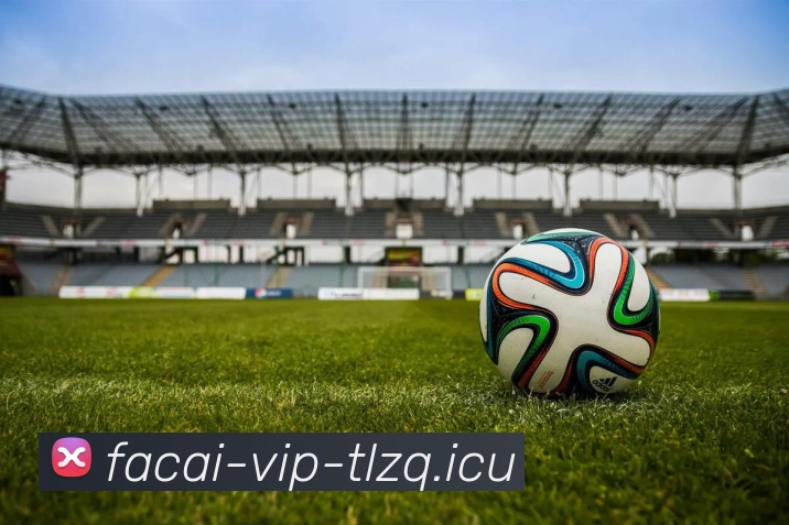 爱游戏体育服务体系